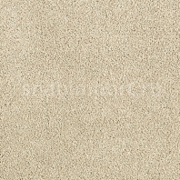 Ковровое покрытие Karastan Elegantly Soft Dusk бежевый