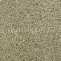 Ковровое покрытие Karastan Elegantly Soft Enduring Sable серый