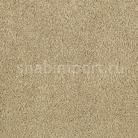 Ковровое покрытие Karastan Elegantly Soft Flaxen бежевый — купить в Москве в интернет-магазине Snabimport