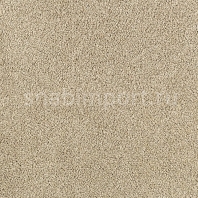 Ковровое покрытие Karastan Elegantly Soft Gleaming Tan бежевый