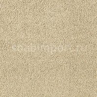Ковровое покрытие Karastan Elegantly Soft Naturelle бежевый — купить в Москве в интернет-магазине Snabimport