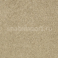 Ковровое покрытие Karastan Elegantly Soft Refined бежевый