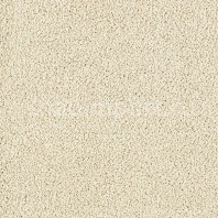Ковровое покрытие Karastan Elegantly Soft Sand Whisper белый — купить в Москве в интернет-магазине Snabimport