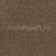 Ковровое покрытие Karastan Elegantly Soft Tobacco Road коричневый