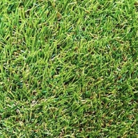 Ландшафтная искусственная трава Elite International, монофиламентная 4 мм зеленый — купить в Москве в интернет-магазине Snabimport