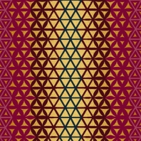 Ковер Durkan Print Beautiful ES35917 Красный — купить в Москве в интернет-магазине Snabimport