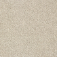 Ковровое покрытие Associated Weavers Euphoria-34 Бежевый — купить в Москве в интернет-магазине Snabimport