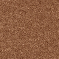 Ковровое покрытие Associated Weavers Euphoria-84 коричневый