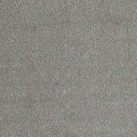 Ковровое покрытие Associated Weavers Euphoria-97 Серый — купить в Москве в интернет-магазине Snabimport