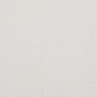 Ковровое покрытие Lano Evita-750-Sky белый — купить в Москве в интернет-магазине Snabimport