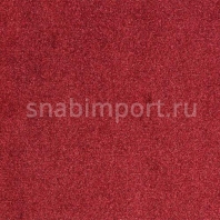 Ковровое покрытие ITC Evolve 15 Красный — купить в Москве в интернет-магазине Snabimport
