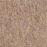 Ковровое покрытие Fletco EX-Dono 16250 коричневый