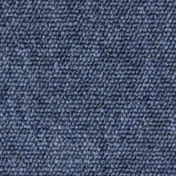 Ковровое покрытие Fletco EX-Dono 16870 синий — купить в Москве в интернет-магазине Snabimport