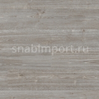 Коммерческий линолеум Polyflor Expona Flow PUR 9826 Silver Oak — купить в Москве в интернет-магазине Snabimport