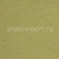 Ковровое покрытие AW FAVORIT 20 зеленый — купить в Москве в интернет-магазине Snabimport