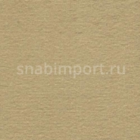 Ковровое покрытие AW FAVORIT 40 Бежевый — купить в Москве в интернет-магазине Snabimport
