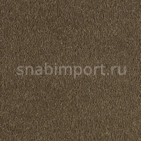 Ковровое покрытие Karastan Felicita Natural Umber коричневый — купить в Москве в интернет-магазине Snabimport