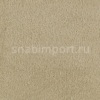 Ковровое покрытие Karastan Felicita Sandstone серый — купить в Москве в интернет-магазине Snabimport