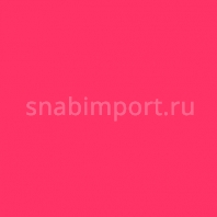 Флуоресцентная краска Rosco Fluorescent 5786 Pink Красный — купить в Москве в интернет-магазине Snabimport