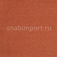 Ковровое покрытие ITC Balta Fortesse 16 коричневый — купить в Москве в интернет-магазине Snabimport