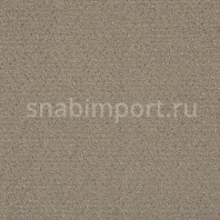 Ковровое покрытие ITC Balta Fortesse 910 коричневый — купить в Москве в интернет-магазине Snabimport