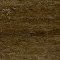 Дизайн плитка AdoFloor Fortika-RAPIDA-1306 коричневый — купить в Москве в интернет-магазине Snabimport