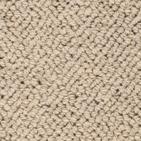 Ковровое покрытие Bestwool Nature Four-Seasons-114 Бежевый — купить в Москве в интернет-магазине Snabimport