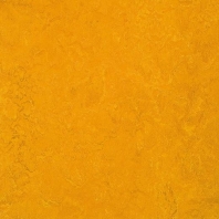 Натуральный линолеум Forbo Marmoleum Fresco-3125 желтый — купить в Москве в интернет-магазине Snabimport
