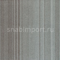 Ковровая плитка Milliken Europe FIXATION Fixation Neutrals FXN144-44-06 Серый