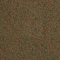 Ковровая плитка Mannington All Star Gametime 1583 коричневый