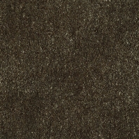 Ковровое покрытие ITC NLF Gloss-19047 Clay