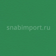 Спортивные покрытия Gerflor Taraflex™ Multi-Use 5.0 6570 — купить в Москве в интернет-магазине Snabimport