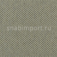 Ковровое покрытие Carpet Concept Goi 1 2801 Серый