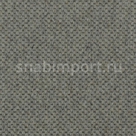 Ковровое покрытие Carpet Concept Goi 1 2805 Серый — купить в Москве в интернет-магазине Snabimport