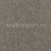 Ковровое покрытие Carpet Concept Goi 1 2809 Серый — купить в Москве в интернет-магазине Snabimport