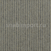 Ковровое покрытие Carpet Concept Goi 3 270105 Серый