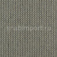 Ковровое покрытие Carpet Concept Goi 4 290105 Серый