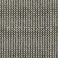 Ковровое покрытие Carpet Concept Goi 4 290106 Серый
