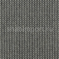 Ковровое покрытие Carpet Concept Goi 4 290506 Серый — купить в Москве в интернет-магазине Snabimport
