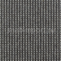 Ковровое покрытие Carpet Concept Goi 4 290610 Серый — купить в Москве в интернет-магазине Snabimport