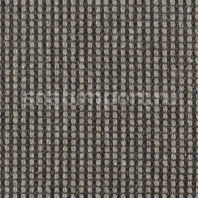Ковровое покрытие Carpet Concept Goi 4 290910 Серый — купить в Москве в интернет-магазине Snabimport