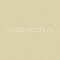 Коммерческий линолеум Grabo Silver Knight Diamond Tech 455-867 — купить в Москве в интернет-магазине Snabimport