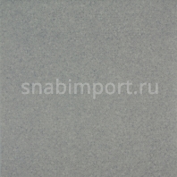 Коммерческий линолеум Grabo Diamond Standart Evolution 4253-470 — купить в Москве в интернет-магазине Snabimport