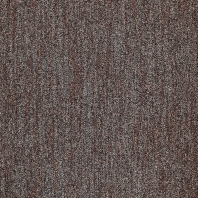 Ковровое покрытие Tapibel Granite-53820 коричневый