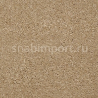 Ковровое покрытие Karastan Grantanna Alpaca коричневый