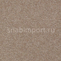 Ковровое покрытие Karastan Grantanna Candida серый — купить в Москве в интернет-магазине Snabimport