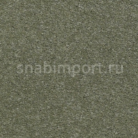 Ковровое покрытие Karastan Grantanna Celtic Haze зеленый — купить в Москве в интернет-магазине Snabimport