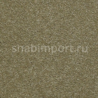 Ковровое покрытие Karastan Grantanna Citrine зеленый