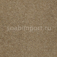 Ковровое покрытие Karastan Grantanna Velvet Brown коричневый — купить в Москве в интернет-магазине Snabimport