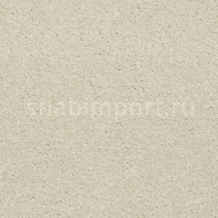 Ковровое покрытие Karastan Grantanna White Jade белый — купить в Москве в интернет-магазине Snabimport